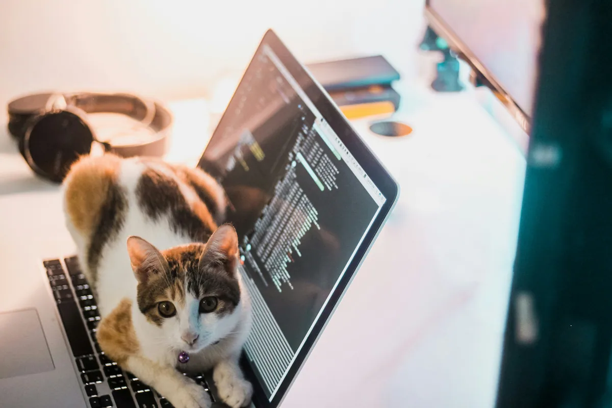 Vibe Coding