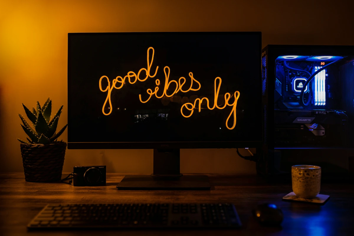 sviluppatore e gamer