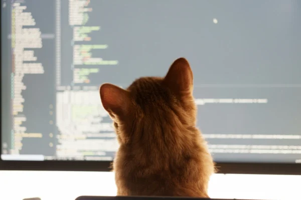 Coding agent: come integrarli nello sviluppo senza perdere il controllo 🤖🛠️
